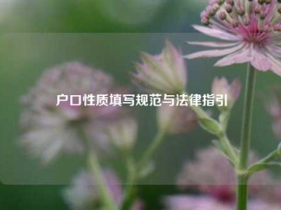 户口性质填写规范与法律指引