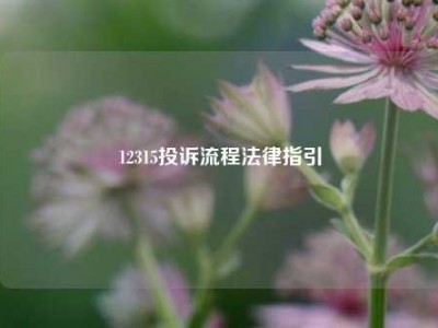 12315投诉流程法律指引