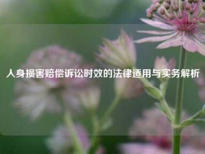 人身损害赔偿诉讼时效的法律适用与实务解析