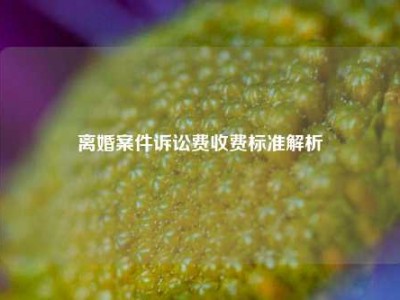 离婚案件诉讼费收费标准解析