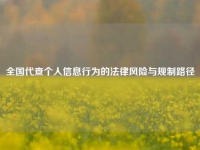 全国代查个人信息行为的法律风险与规制路径