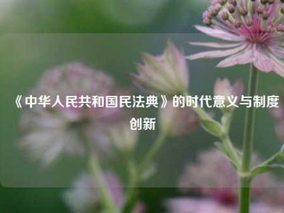 《中华人民共和国民法典》的时代意义与制度创新