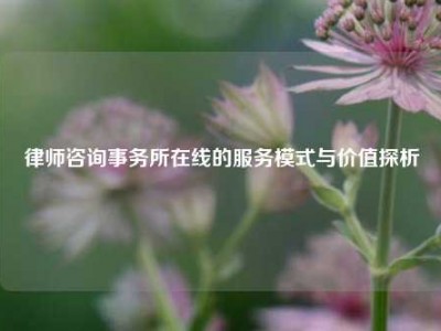 律师咨询事务所在线的服务模式与价值探析