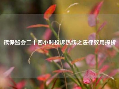 银保监会二十四小时投诉热线之法律效用探析