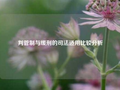 判管制与缓刑的司法适用比较分析