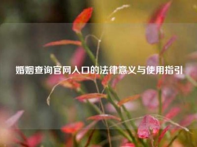 婚姻查询官网入口的法律意义与使用指引