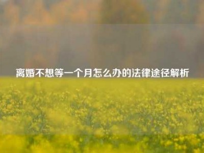 离婚不想等一个月怎么办的法律途径解析