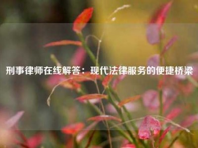 刑事律师在线解答：现代法律服务的便捷桥梁