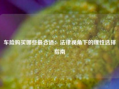 车险购买哪些最合适：法律视角下的理性选择指南