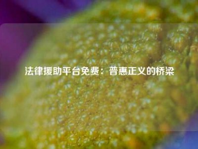 法律援助平台免费：普惠正义的桥梁