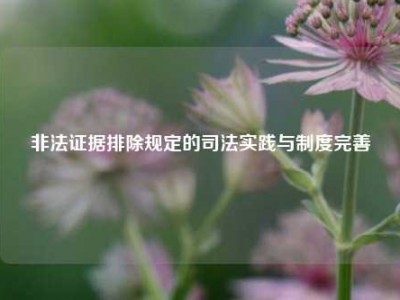 非法证据排除规定的司法实践与制度完善