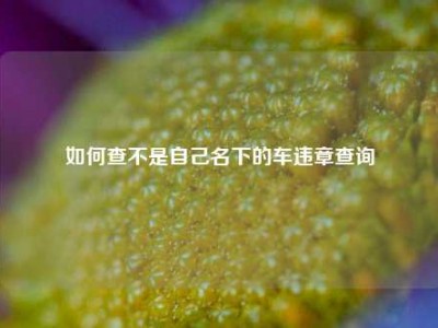 如何查不是自己名下的车违章查询