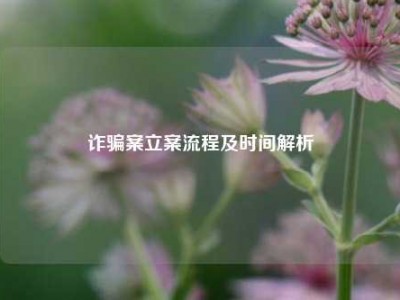 诈骗案立案流程及时间解析