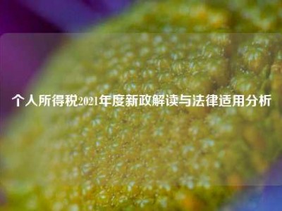 个人所得税2021年度新政解读与法律适用分析