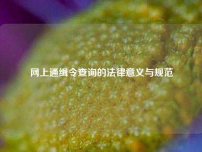 网上通缉令查询的法律意义与规范