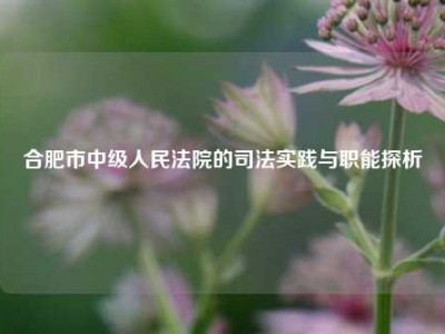 合肥市中级人民法院的司法实践与职能探析