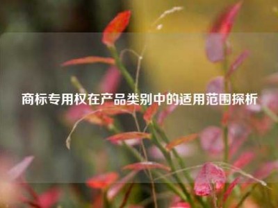 商标专用权在产品类别中的适用范围探析