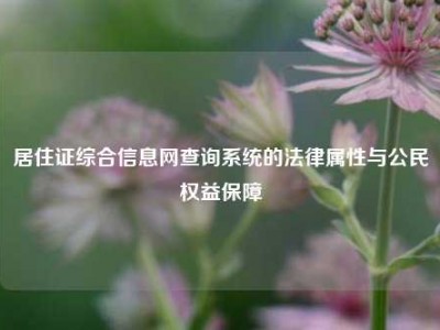 居住证综合信息网查询系统的法律属性与公民权益保障