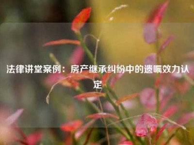 法律讲堂案例：房产继承纠纷中的遗嘱效力认定