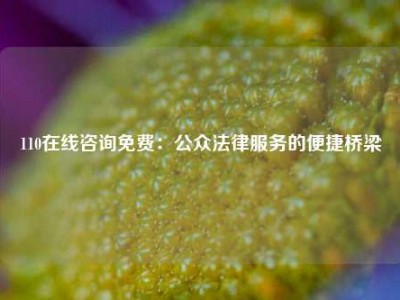110在线咨询免费：公众法律服务的便捷桥梁