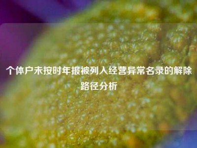 个体户未按时年报被列入经营异常名录的解除路径分析