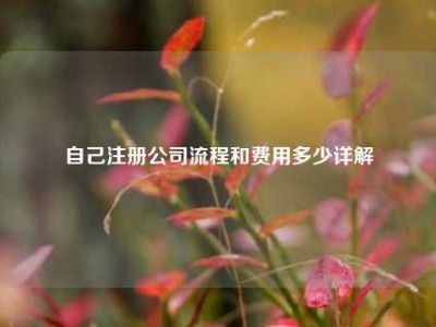 自己注册公司流程和费用多少详解