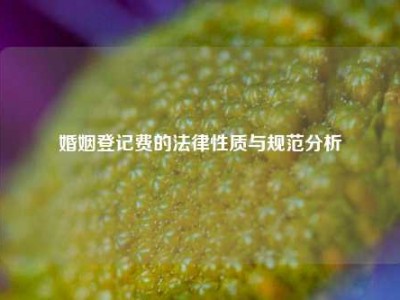 婚姻登记费的法律性质与规范分析