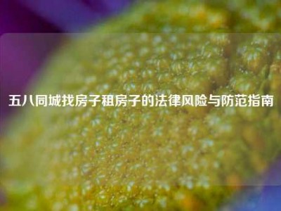 五八同城找房子租房子的法律风险与防范指南
