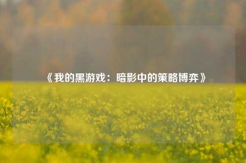 《我的黑游戏:暗影中的策略博弈》