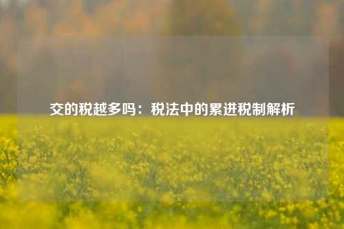 交的税越多吗:税法中的累进税制解析