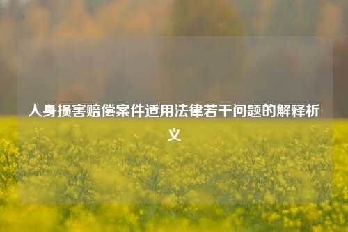 人身损害赔偿案件适用法律若干问题的解释析义