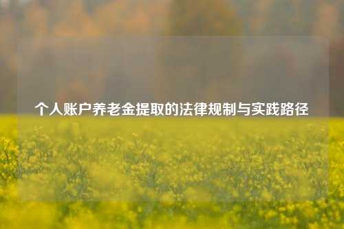 个人账户养老金提取的法律规制与实践路径