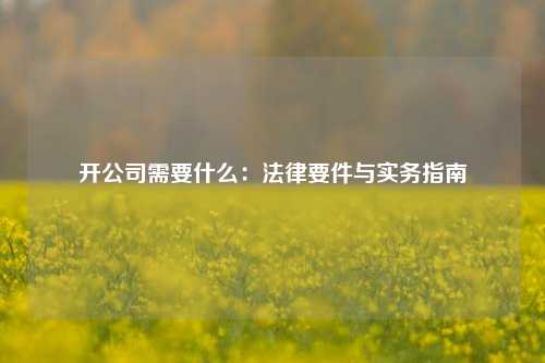 开公司需要什么:法律要件与实务指南