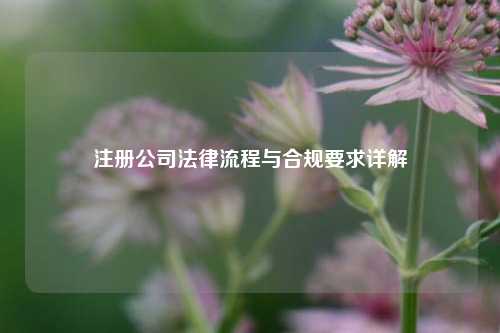 注册公司法律流程与合规要求详解