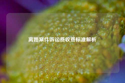 离婚案件诉讼费收费标准解析