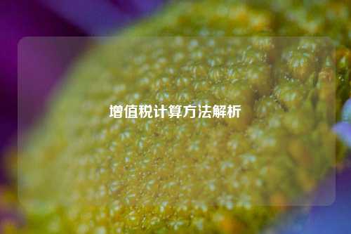 增值税计算方法解析