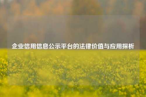 企业信用信息公示平台的法律价值与应用探析