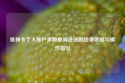 医保卡个人账户余额查询途径的法律依据与操作指引