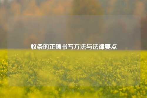 收条的正确书写方法与法律要点