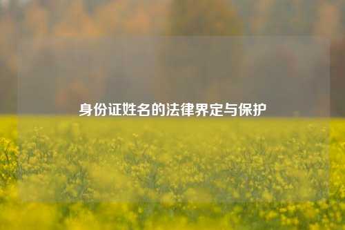 身份证姓名的法律界定与保护