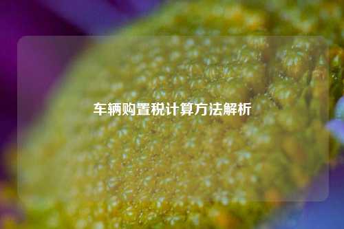 车辆购置税计算方法解析