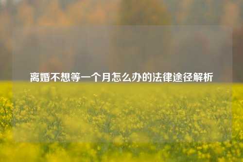 离婚不想等一个月怎么办的法律途径解析